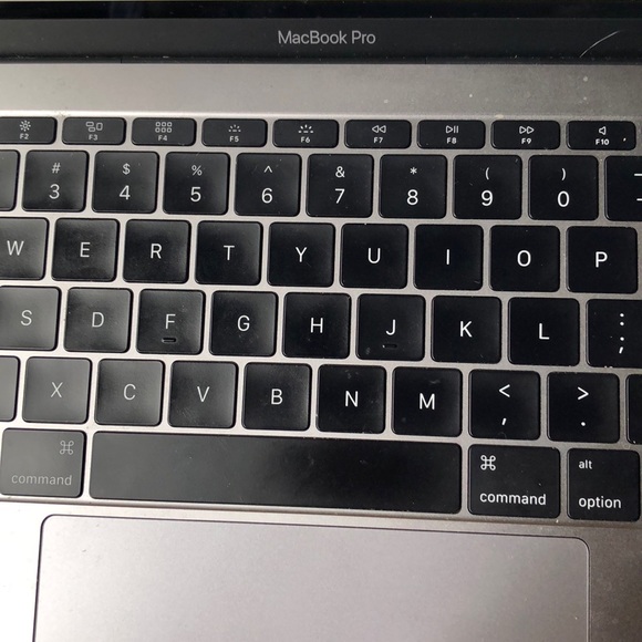 Meet your Posher, Talia - Picture 1 of 1